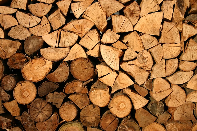 prodej palivového dřeva